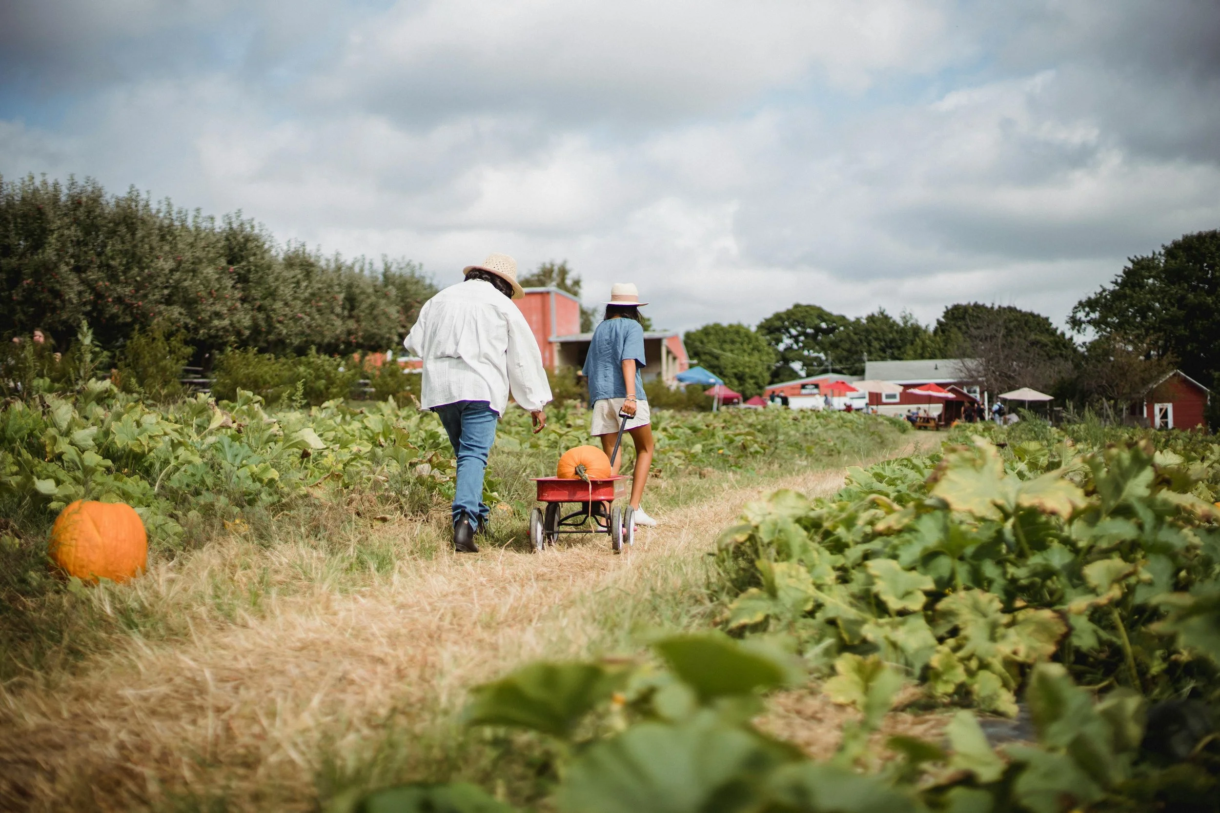 Farm wagon scene